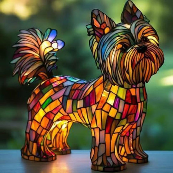 Pet - Radiant Yorkshire Terrier